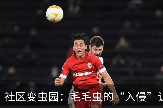 社区变虫园：毛毛虫的“入侵”让居民感到无奈